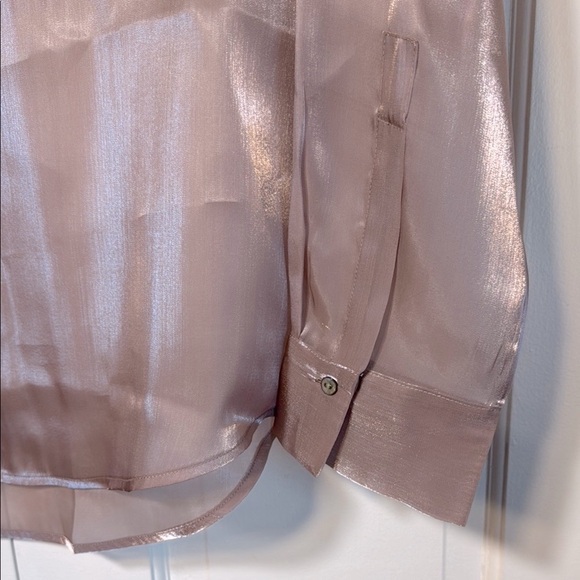 NWT Pistola Shimmering Organza Pink/Plum Button Front Blouse Semi-Sheer - Picture 11 of 15